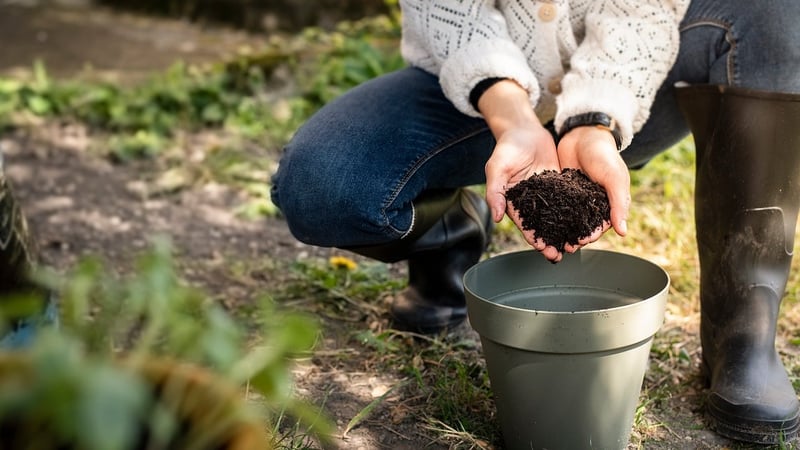Sustainable Lifestyle Hacks